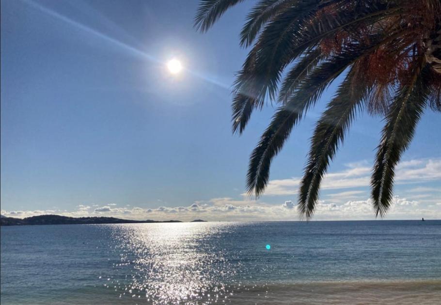L Annexe 50M De La Plage Bandol Exterior foto